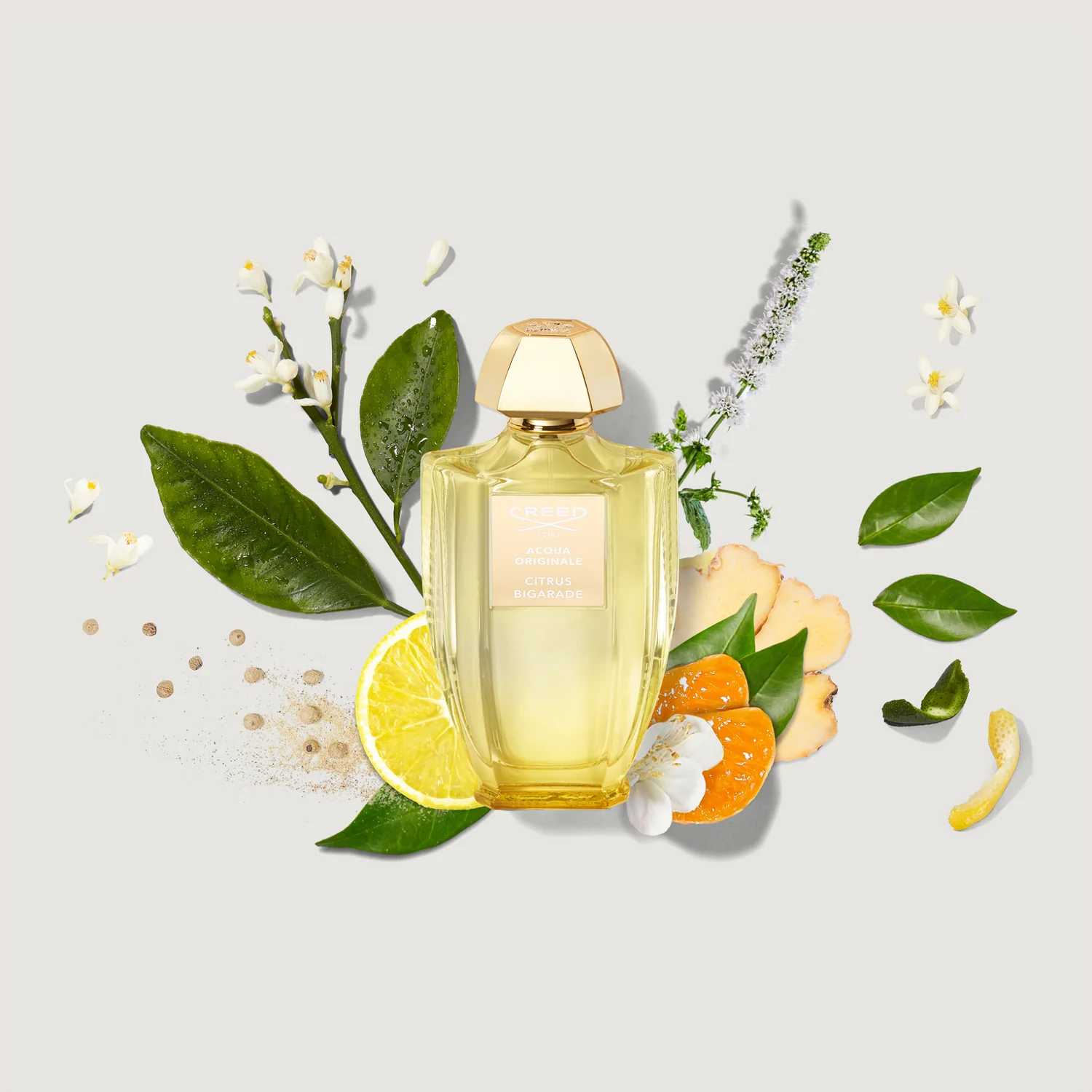 Citrus Bigarade - Image 2