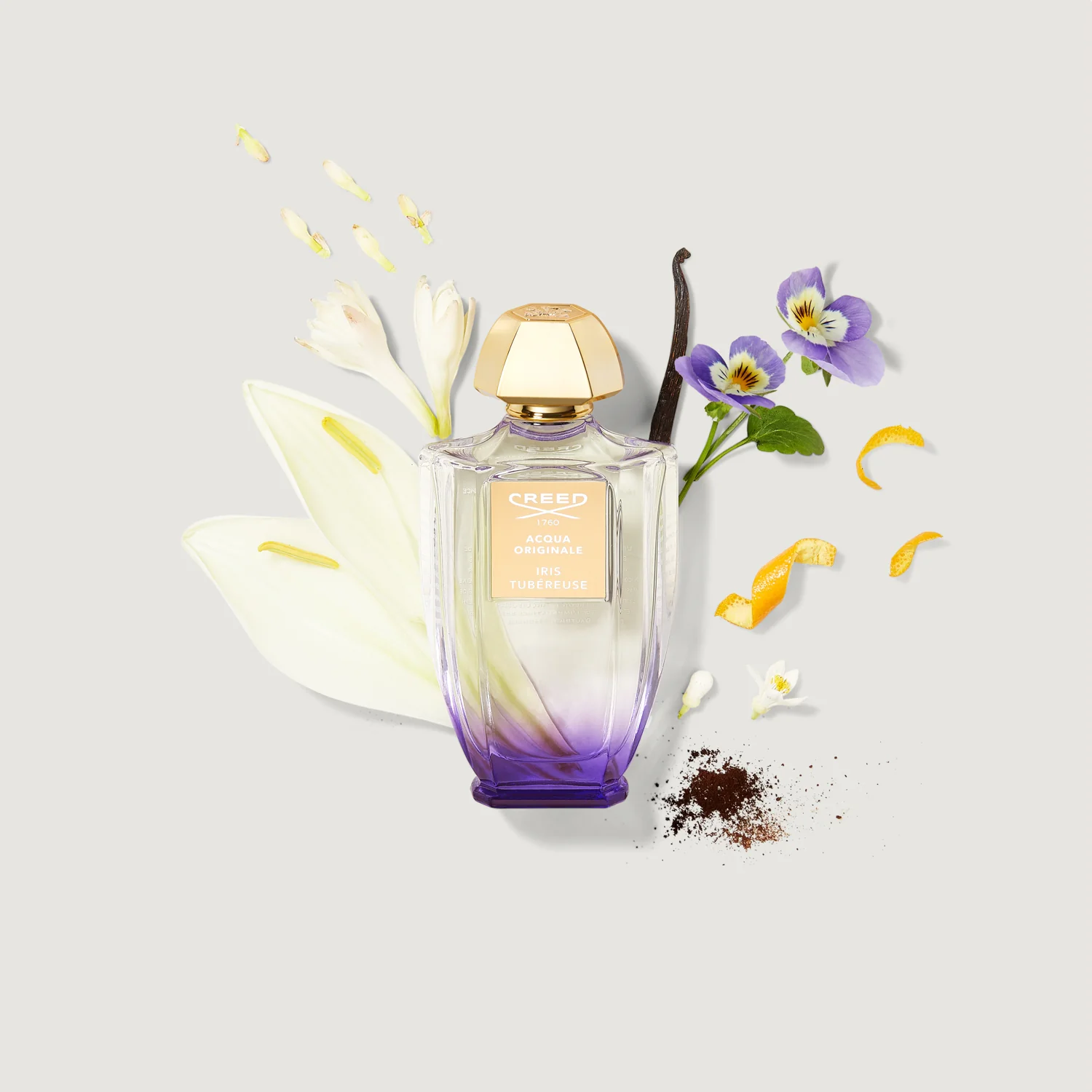 Iris Tubéreuse - Image 2